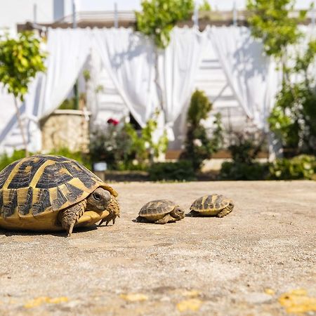 Hotel Abril 37 シウタデリャ エクステリア 写真