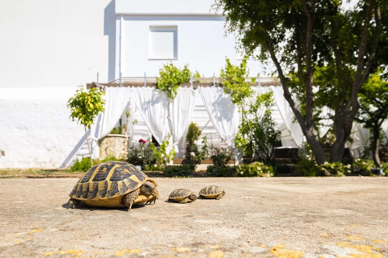 Hotel Abril 37 シウタデリャ エクステリア 写真